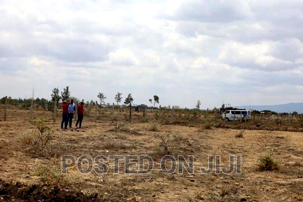 Prime 1/8 Acre Plots in Kamakis