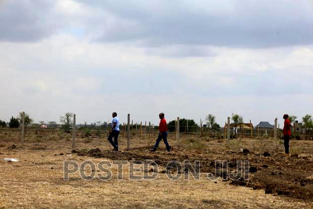 Prime 1/8 Acre Plots in Kamakis