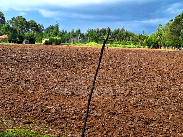 Quarter Acre Plots Nyahururu Township