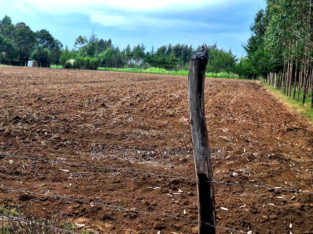 Quarter Acre Plots Nyahururu Township