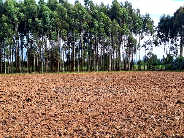 Quarter Acre Plots Nyahururu Township