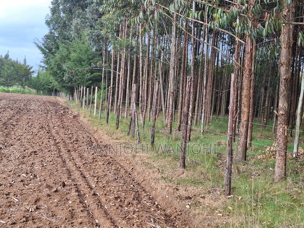 Quarter Acre Plots Nyahururu Township