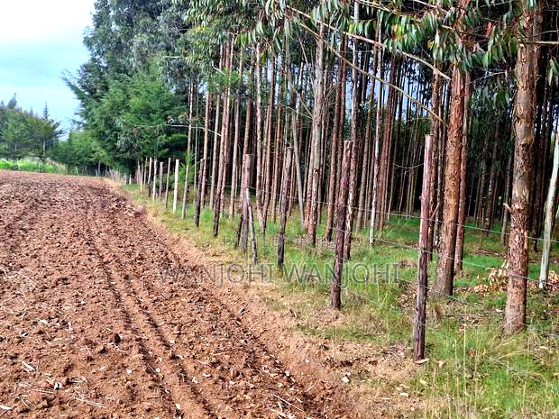 Quarter Acre Plots Nyahururu Township