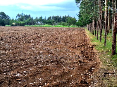 Quarter Acre Plots Nyahururu Township - Image 3