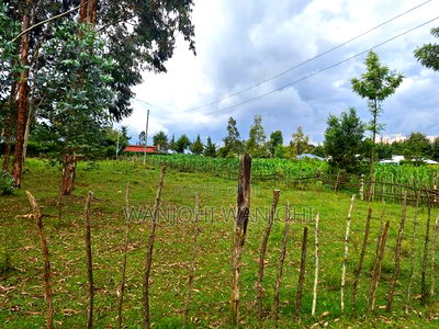 Quarter Acre Plots Nyahururu Township - Image 6