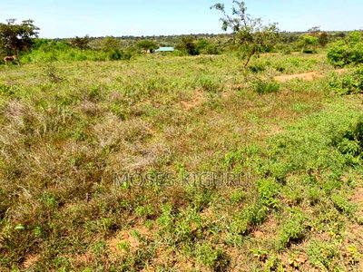 Matuu 50X100 Plots. - Image 4