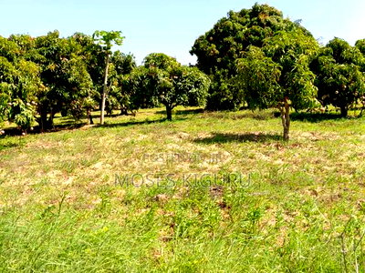 Matuu 50X100 Plots. - Image 2