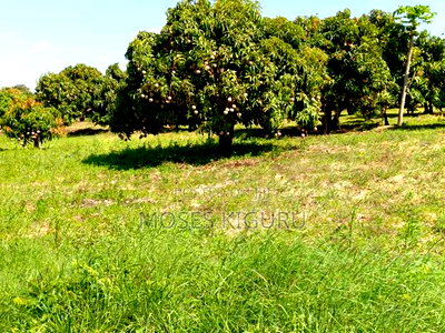 Matuu 50X100 Plots. - Image 3