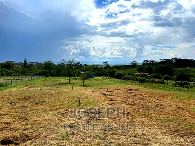 Elementaita 1acre With a Borehole - Image 15