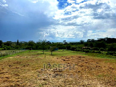 Elementaita 1acre With a Borehole - Image 13