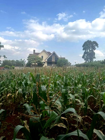 1/4 Acre Kerarapon - Image 4