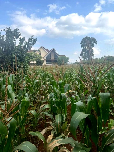 1/4 Acre Kerarapon - Image 6