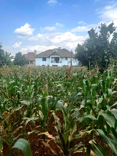 1/4 Acre Kerarapon - Image 5