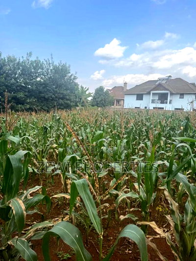 1/4 Acre Kerarapon - Image 3