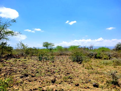 1/2 Plots For Sale - Image 3