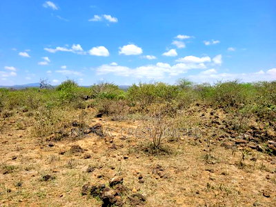 1/2 Plots For Sale - Image 2