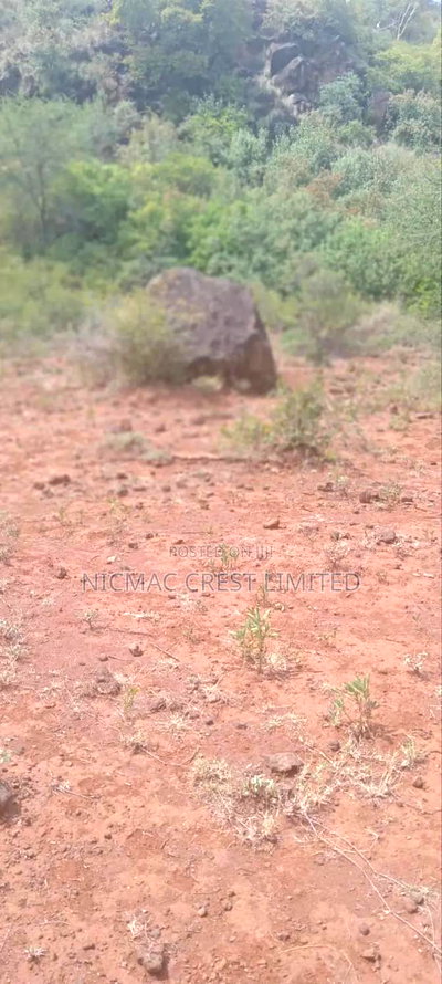 1/2 Plots For Sale - Image 1