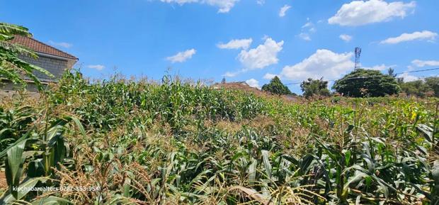 1/2 Acre for Sale Elgonview Near Boma Inn and Temple Eldoret