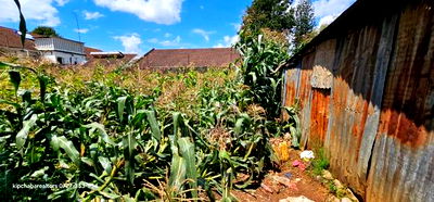 1/2 Acre for Sale Elgonview Near Boma Inn and Temple Eldoret - Image 6