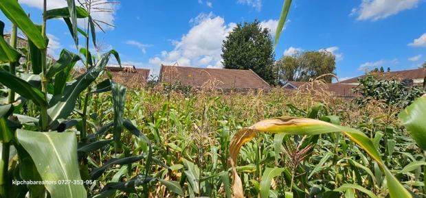 1/2 Acre for Sale Elgonview Near Boma Inn and Temple Eldoret