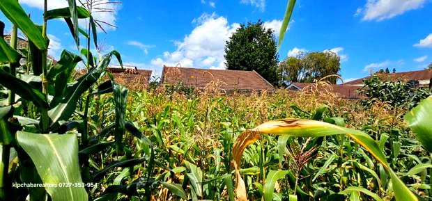 1/2 Acre for Sale Elgonview Near Boma Inn and Temple Eldoret