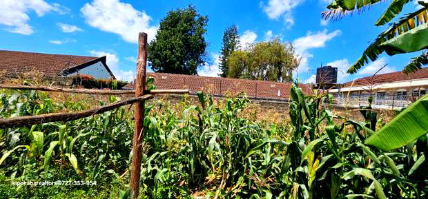 1/2 Acre for Sale Elgonview Near Boma Inn and Temple Eldoret