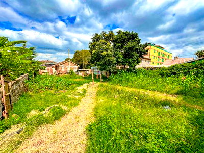 Prime Commercial Plot Touching Tarmac for Sale in Kinoo. - Image 8