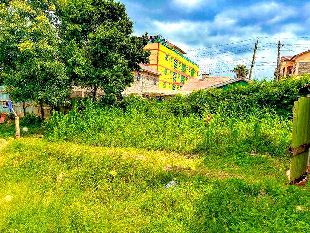 Prime Commercial Plot Touching Tarmac for Sale in Kinoo.
