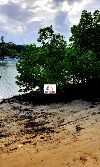 3.7-Acre Beachfront Gem in Shanzu