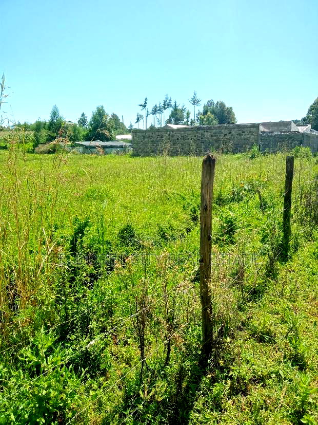 3/4 Plot After Kapsoya Ideal for Rental
