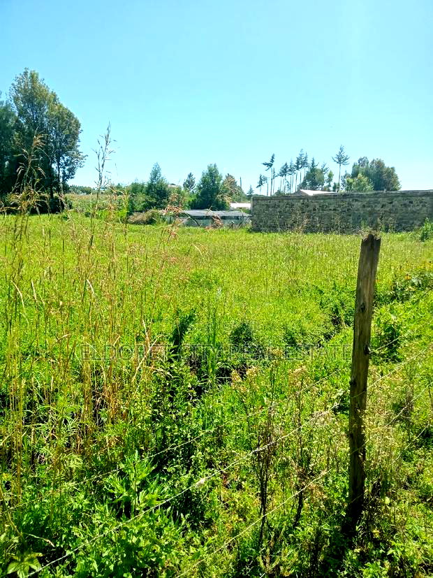 3/4 Plot After Kapsoya Ideal for Rental