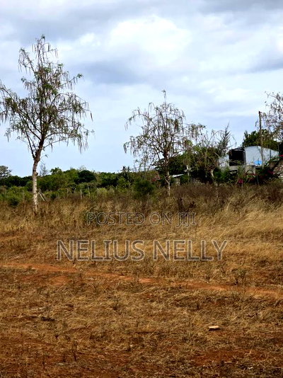 Bofa Phase 10 Kilifi - Image 2