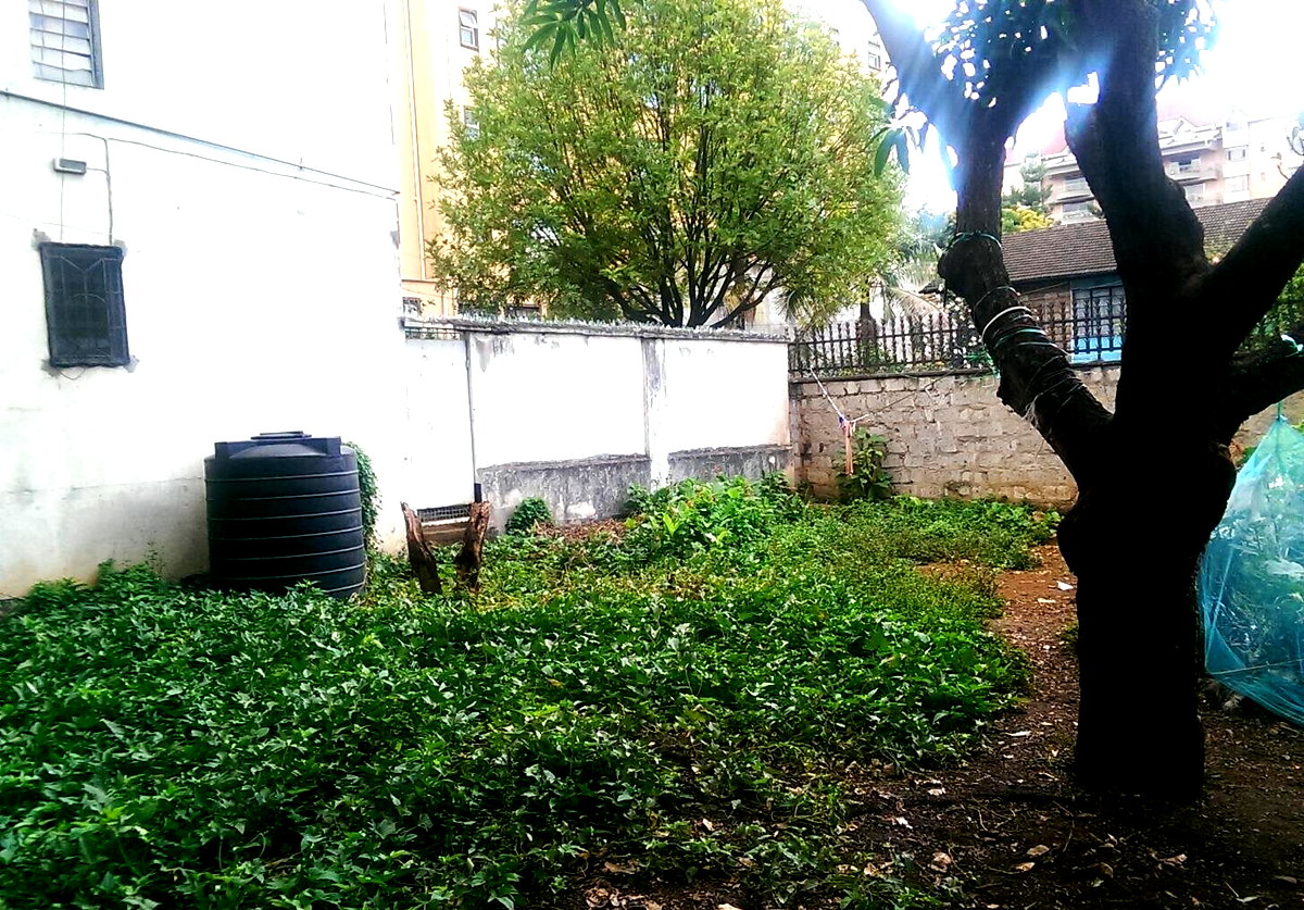 0.3 Acre Plot in Parklands