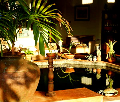 Furnished 5bdrm Farm House in Vipingo for sale - Image 3