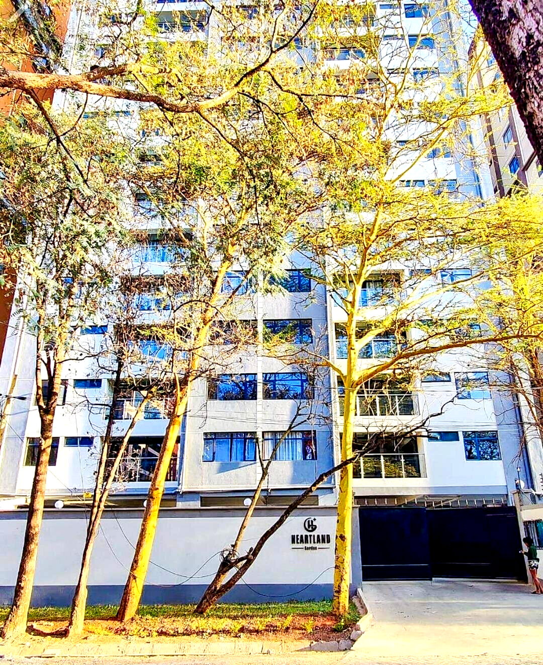 1BR Luxury Apartment with High-Speed Lifts & Gym - Kilimani