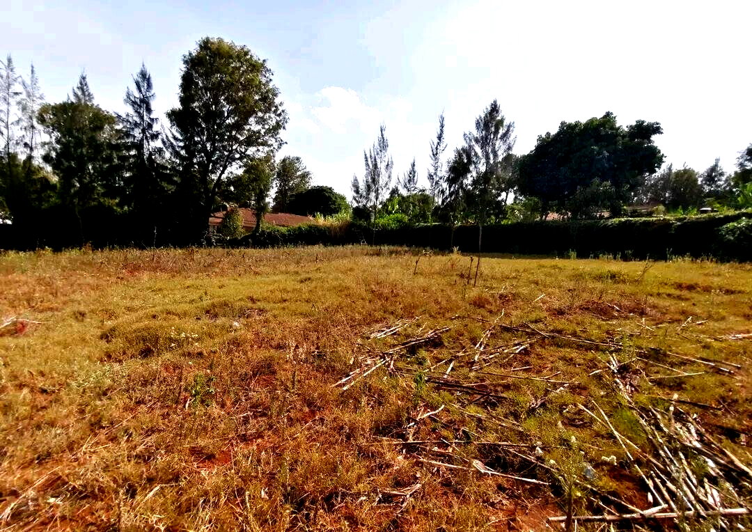 Garden Plot with Parking in Karen