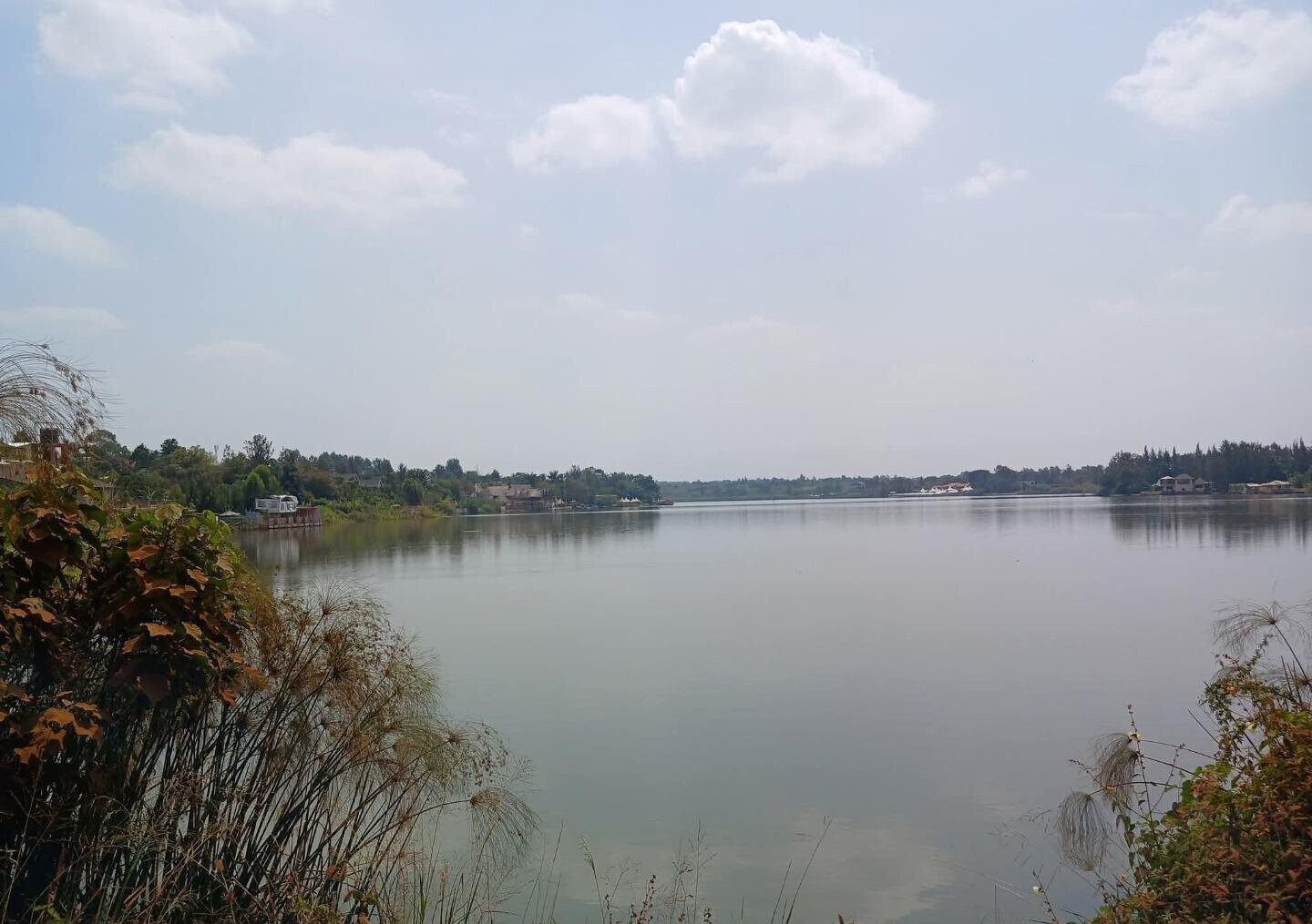 KSh 1.6M Plot in Twiga Estate