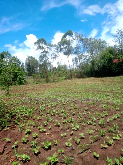 2.5 Acres for Sale Nyeri County - Image 2