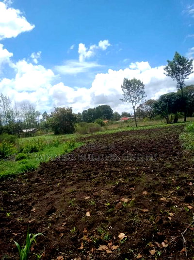 2.5 Acres for Sale Nyeri County - Image 3