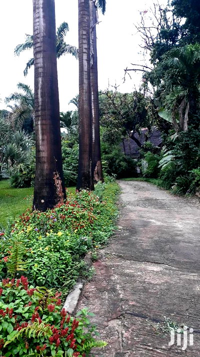 3bdrm Bungalow in Mkomani for sale - Image 10