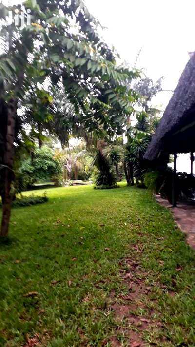 3bdrm Bungalow in Mkomani for sale - Image 4