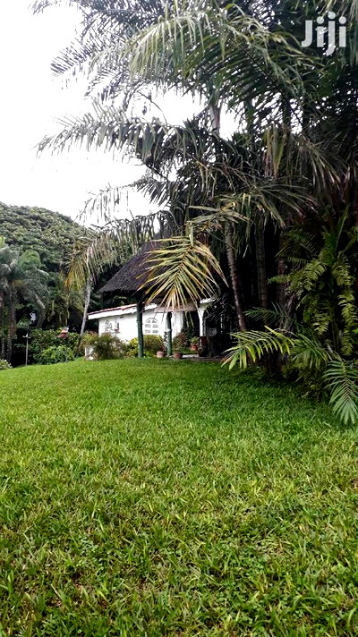 3bdrm Bungalow in Mkomani for sale - Image 6