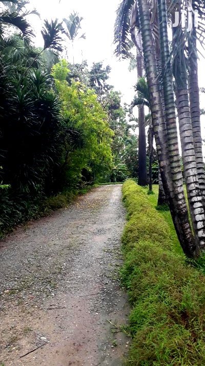 3bdrm Bungalow in Mkomani for sale - Image 2