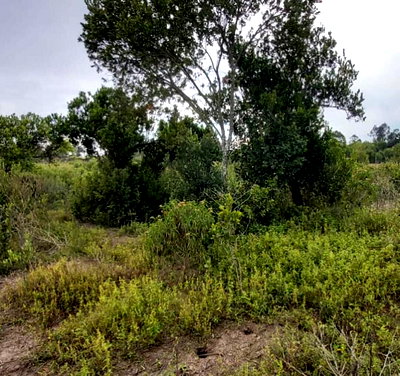 3-Acre Commercial Land at KSh 2.2M per Acre