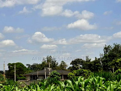 1/4 Acre Available Residential Land in Kitisuru - Image 6