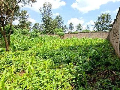 1/4 Acre Available Residential Land in Kitisuru - Image 3