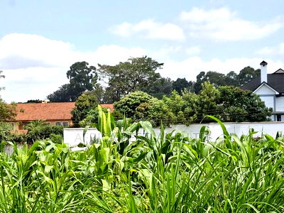 1/4 Acre Available Residential Land in Kitisuru - Image 2