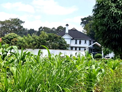 1/4 Acre Available Residential Land in Kitisuru - Image 4