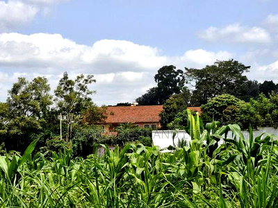 1/4 Acre Available Residential Land in Kitisuru - Image 1