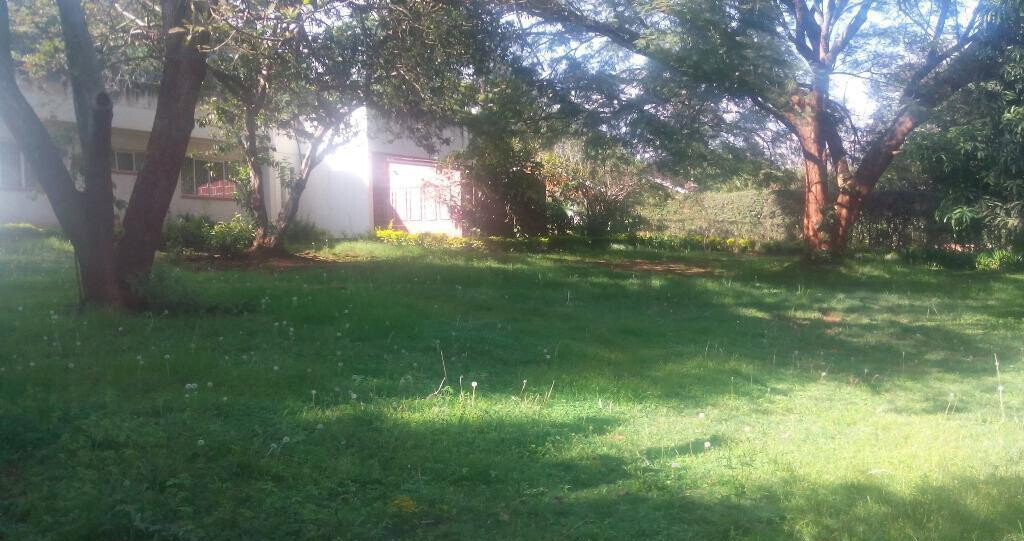 1 Acre Westlands Plot with Garden